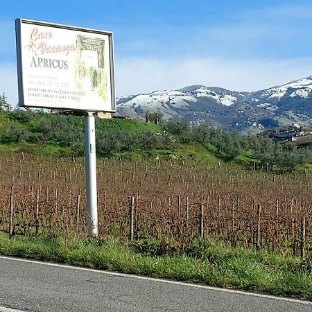 La Loggetta Di Apricus Βίλα Olevano Romano Εξωτερικό φωτογραφία