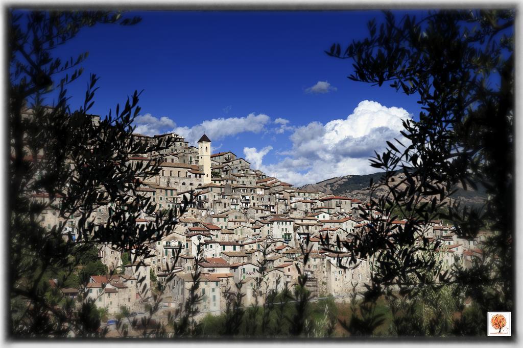 La Loggetta Di Apricus Βίλα Olevano Romano Εξωτερικό φωτογραφία